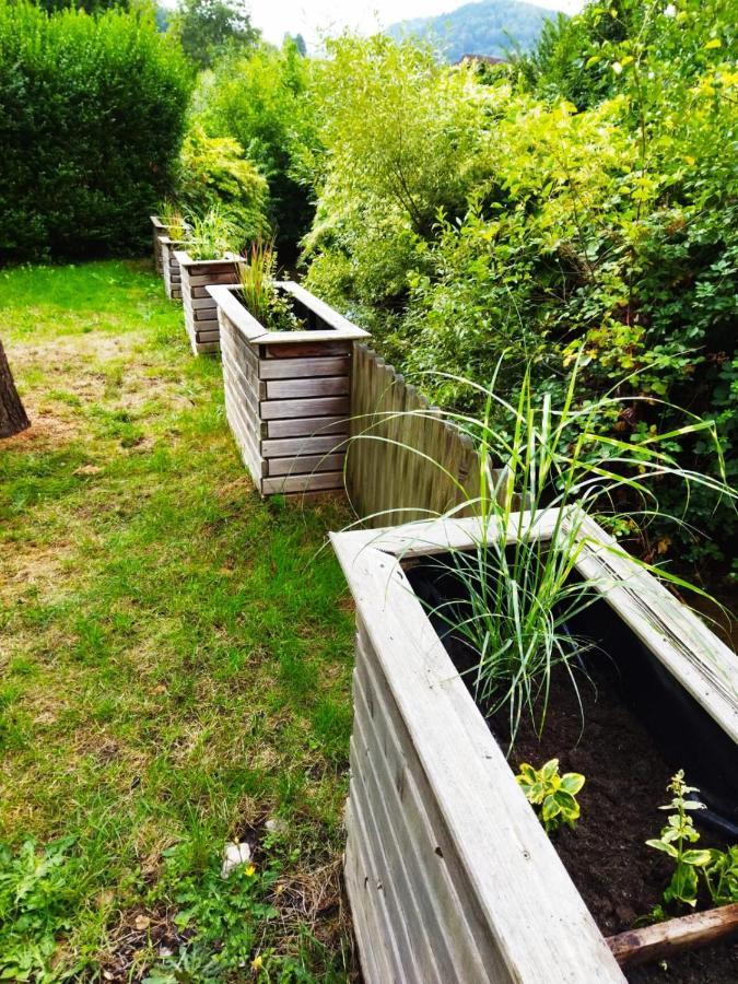 Apartmán Haus Elsenbruch Bad Herrenalb Exteriér fotografie
