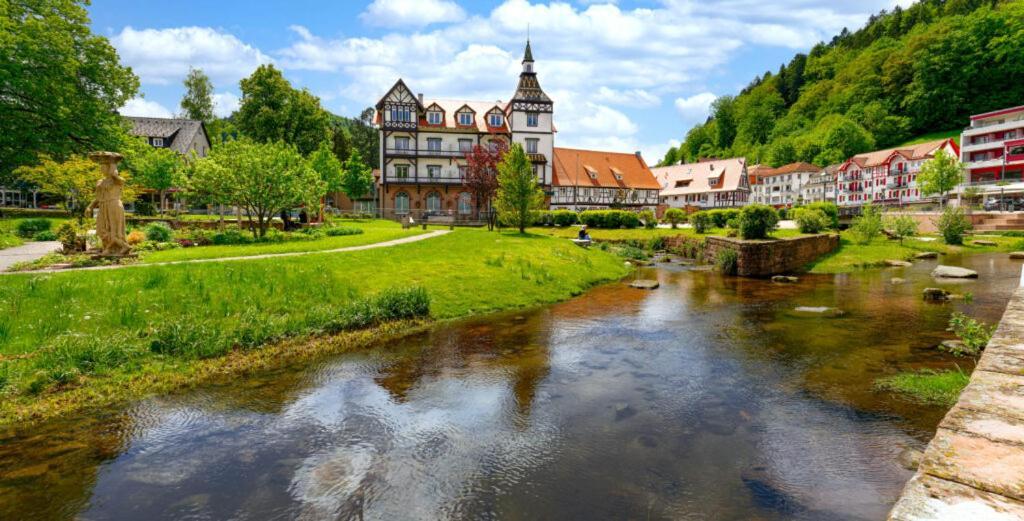 Apartmán Haus Elsenbruch Bad Herrenalb Exteriér fotografie